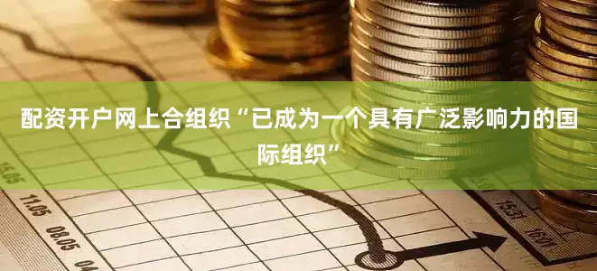 配资开户网上合组织“已成为一个具有广泛影响力的国际组织”