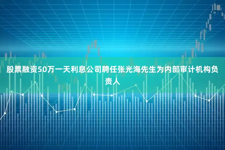 股票融资50万一天利息公司聘任张光海先生为内部审计机构负责人