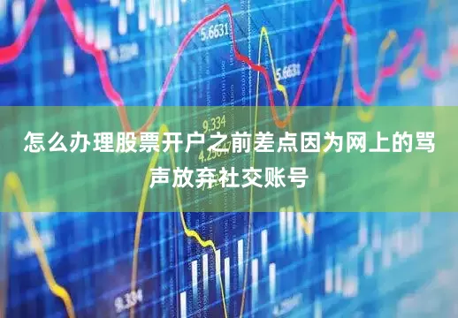 怎么办理股票开户之前差点因为网上的骂声放弃社交账号